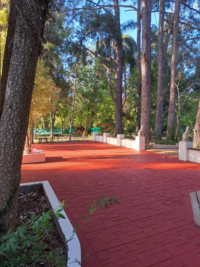 Casa Eden Exclusiva Y Comoda Casona De Descanso A Tan Solo 1 Hora De Bs As Villa Tigre Eksteriør billede
